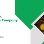 Red Geometric Classy Work Performance Report Presentation