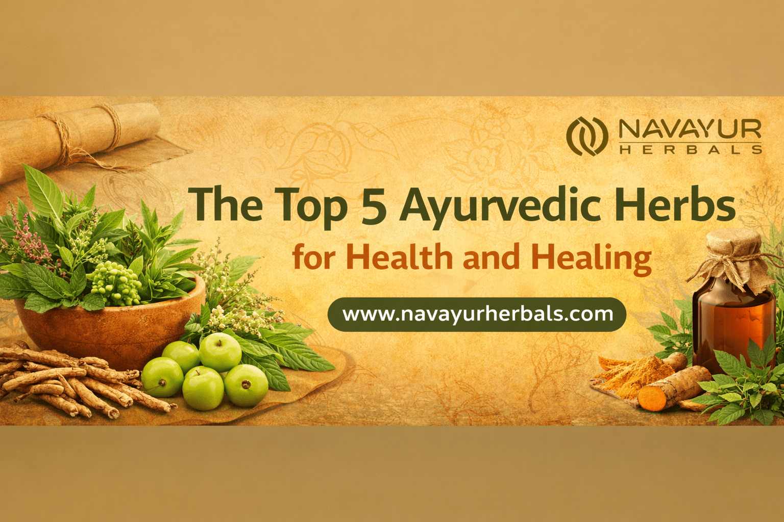 The Top 5 Ayurvedic Herbs for Health and Healing