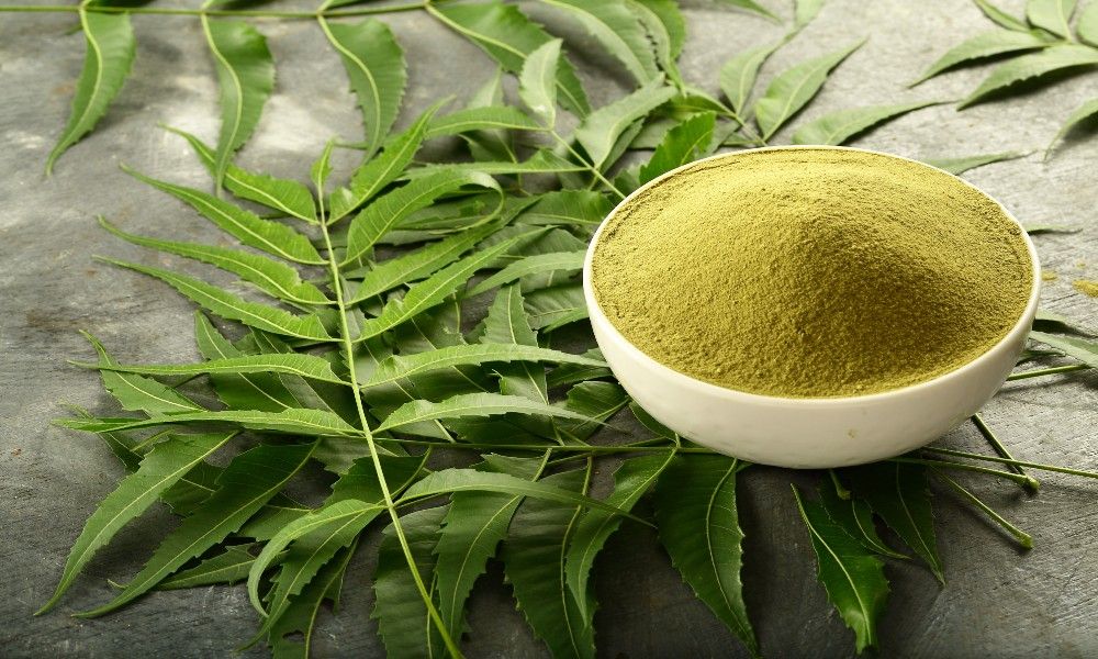 Neem