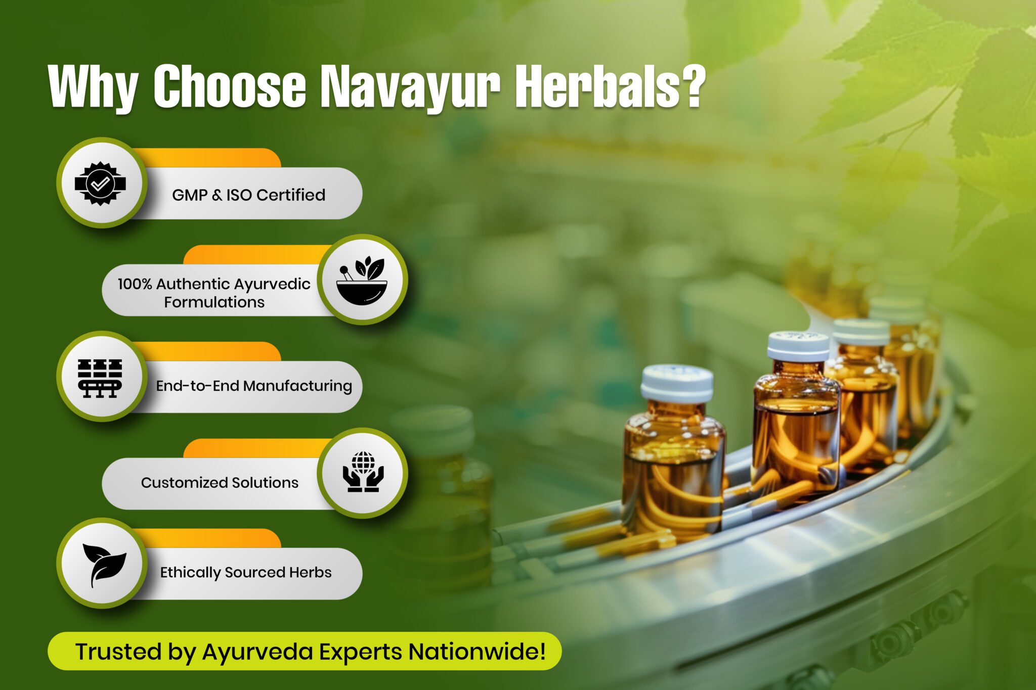 navayur website.psd 3