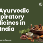 Best Ayurvedic Respiratory Medicines in India,