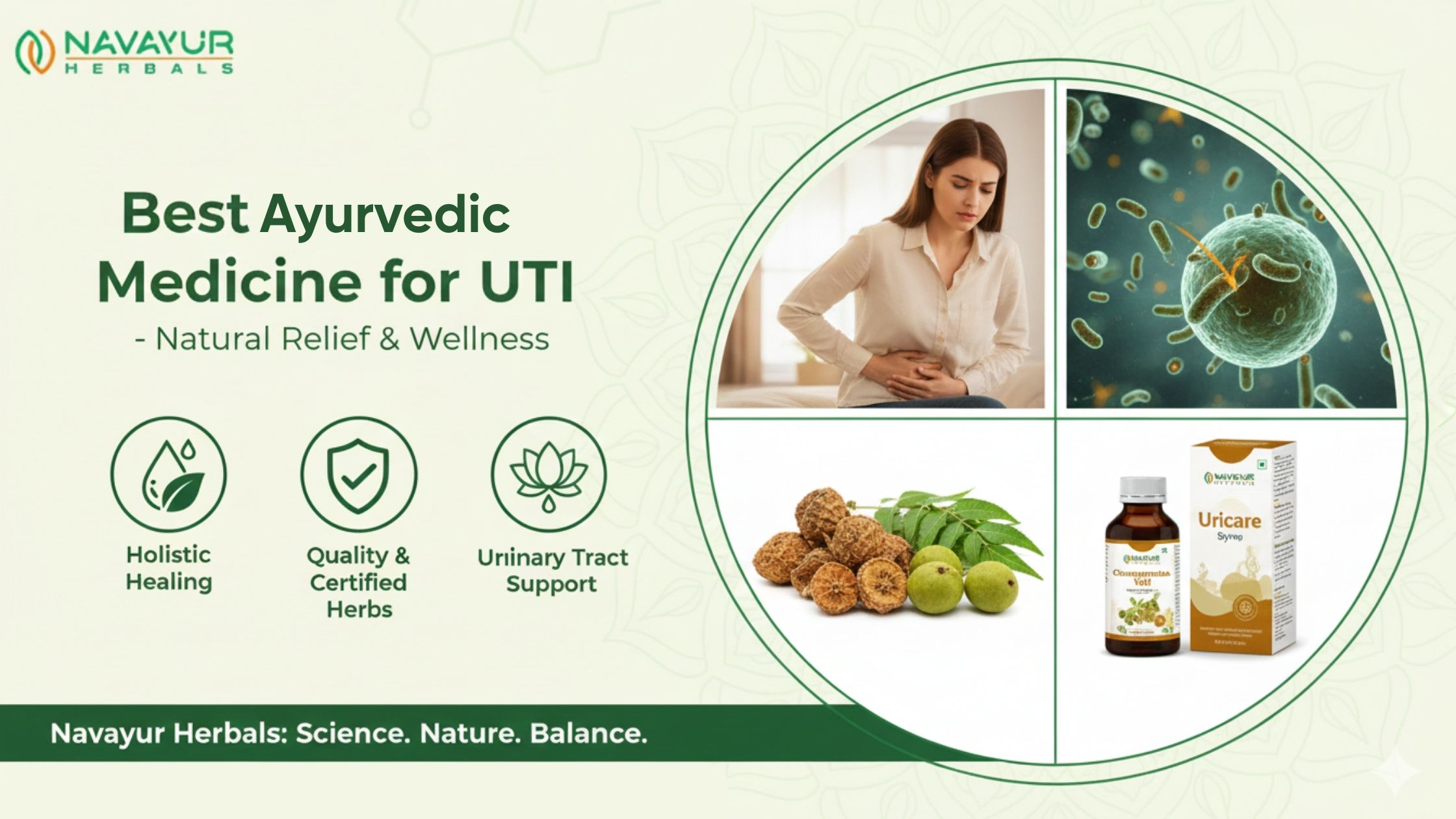 Blog banners 2025 12 25T130405.670