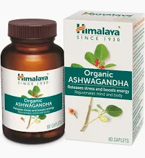 Best Ashwagandha Tablet Brands In India